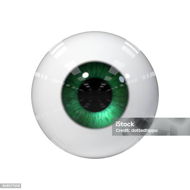 Human Eye With Green Iris Isolated On White Background Stock Photo - Download Image Now