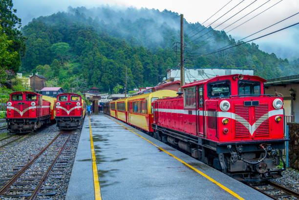 railway in alishan forest recreation area in chiayi