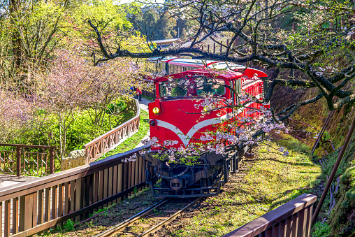 railway in alishan forest recreation area in chiayi