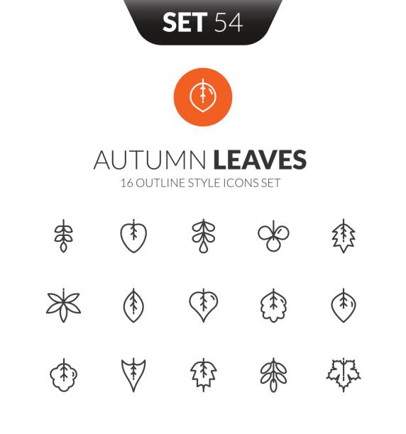 Outline black icons set in thin modern design style vector art illustration