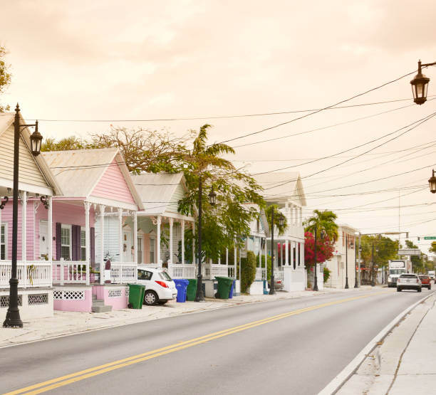istock Homes in a Street 848611268