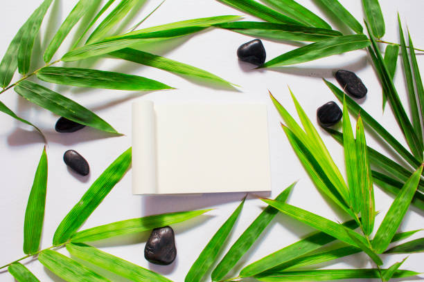 istock Blank page and green bamboo leaf background. White sketchbook horizontal mockup. 848619328
