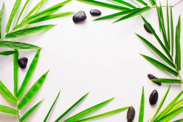 istock Bamboo leaf background. White paper with tropical leaf ornament. 848619348