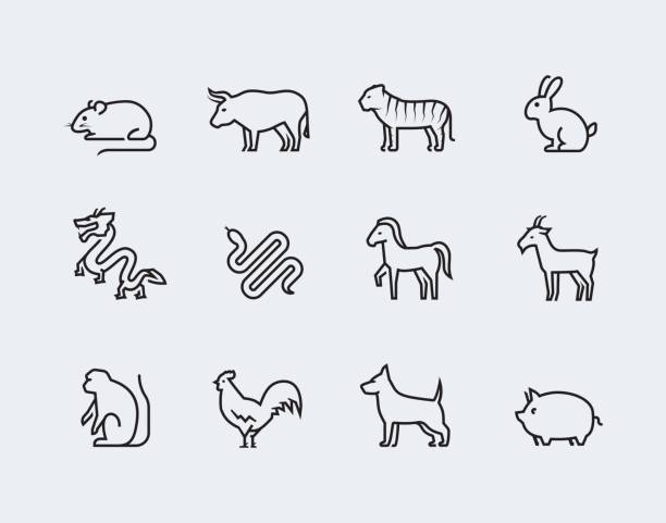 illustrazioni stock, clip art, cartoni animati e icone di tendenza di icone vettoriali zodiacali cinesi in stile linea sottile - horse silhouette