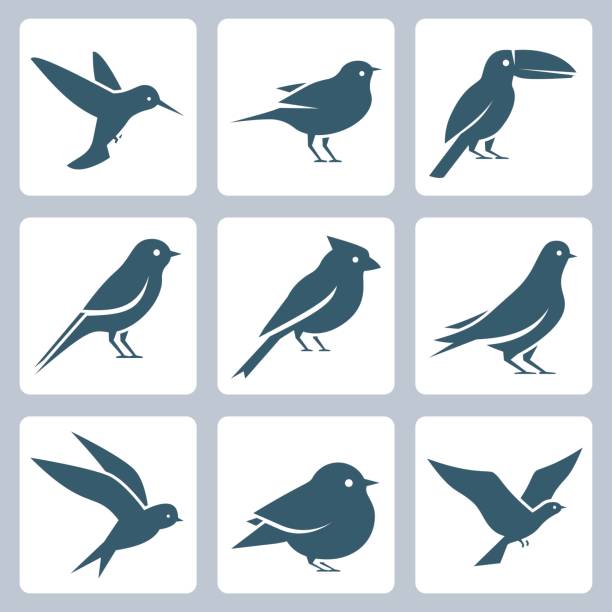 ilustrações, clipart, desenhos animados e ícones de conjunto de ícones de vetor de aves - cardeal pássaro