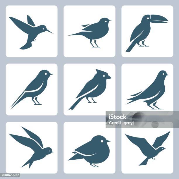 Birds Vector Icon Set Stock Illustration - Download Image Now - Bird, Icon Symbol, Cardinal - Bird