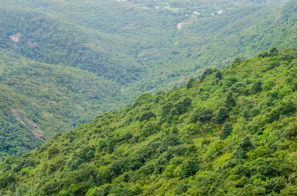 istock green park in Hong Kong 848623398