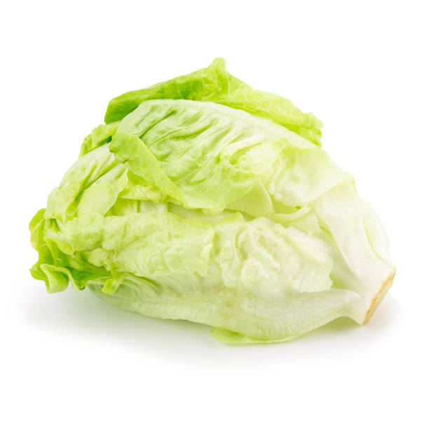 istock Romain Lettuce isolated on a white background. 848624918