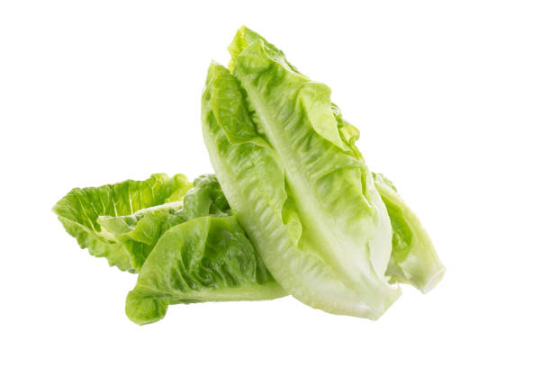 istock Fresh green cos lettuce Isolated on White Background 848624962