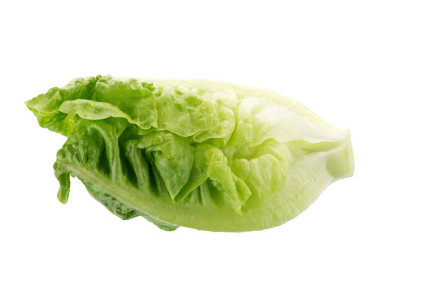 istock Fresh green cos lettuce Isolated on White Background 848625050