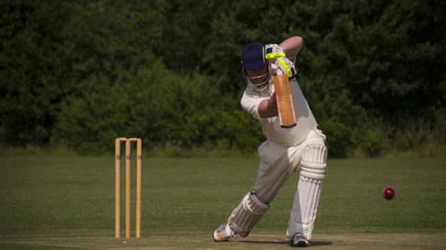Cricket Videos, Download The BEST Free 4k Stock Video Footage & Cricket HD Video  Clips