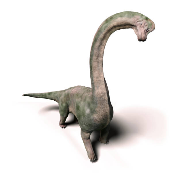 huge dinosaur, 3d illustration isolated on white background