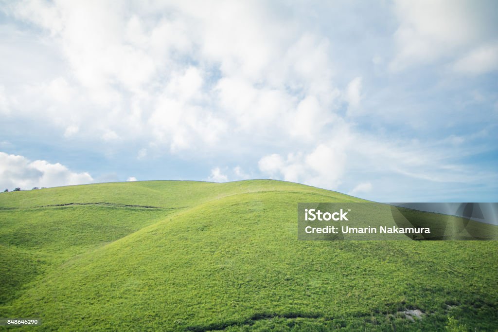 Beautiful landscape view of green grass with blue sky background in Utsukushigahara park is one of the most important and popular natural place in Nagano Prefecture , Japan. Agricultural Field Stock Photo Beautiful landscape view of green grass with blue sky background in Utsukushigahara park is one of the most important and popular natural place in Nagano Prefecture , Japan. Agricultural Field Stock Photo