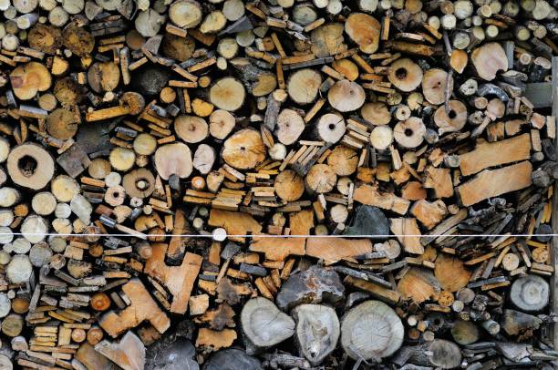istock background of firewood 848661886