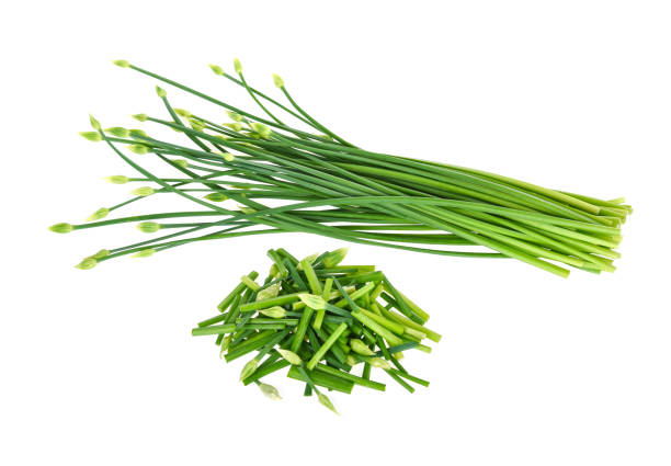 istock Fresh chives flower or Chinese Chive isolated on white background 848662310