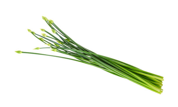 istock Chives flower or Chinese Chive isolated on white background 848662678
