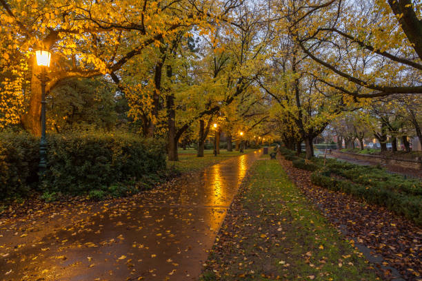 Illuminated park path in autumn Roslind Park Bendigo bendigo photos stock pictures, royalty-free photos & images