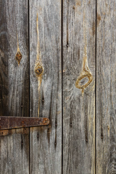 istock Wood Door Background Texture 848673104