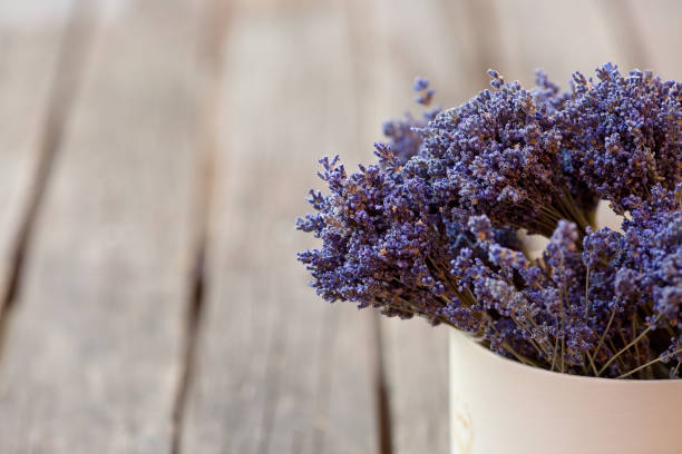 istock Bundles of dried lavender placed inside round paper box 848673872