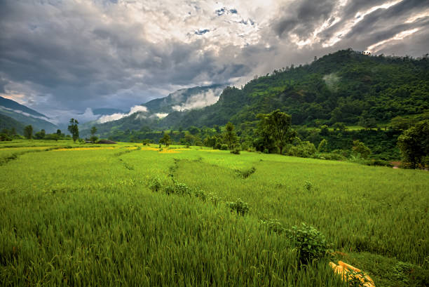 istock Green valley on Manaslu circuit in Himalaya mountains, Nepal 848679908