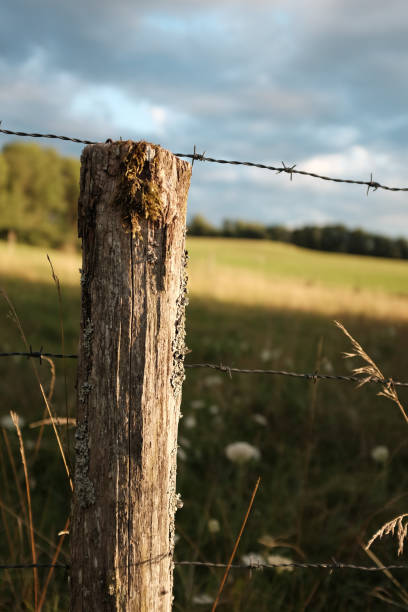 istock Rural landscape fence 848682548