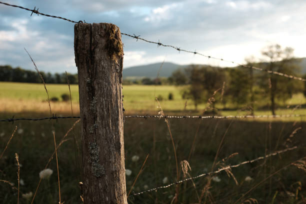 istock Rural landscape fence 848682588