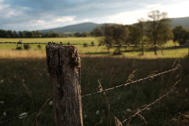 istock Rural landscape fence 848682638