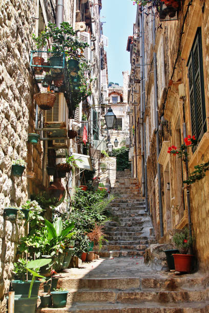 scene of narrow street with vintage house in old town of dubrovnik, croatia - ploce imagens e fotografias de stock