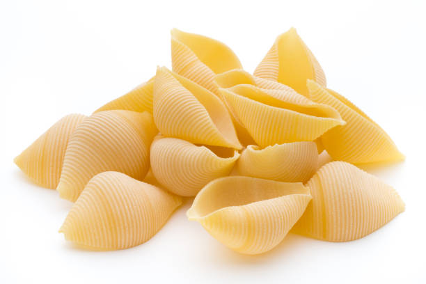 istock Italian lumaconi isolated on white background. 848688618