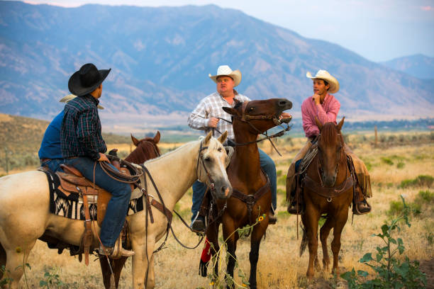 kowboje na wybiegu - rein saddle cowboy hat hat zdjęcia i obrazy z banku zdjęć