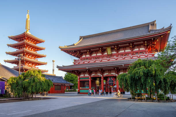 sensoji, an ancient Buddhist temple located in Asakusa night view of sensoji, an ancient Buddhist temple located in Asakusa, Tokyo, Japan. shinto photos stock pictures, royalty-free photos & images