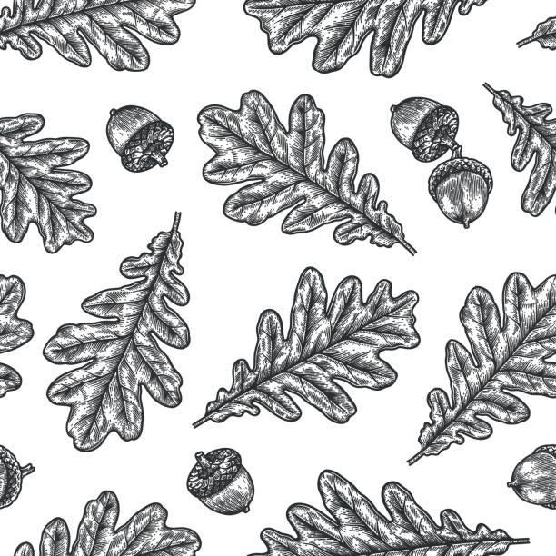 ilustrações de stock, clip art, desenhos animados e ícones de engraving seamless pattern of oak leaf and acorn. - oak leaf oak tree acorn season