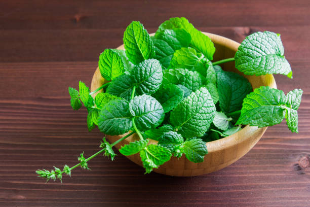 istock Green fresh mint om the wooden table 848726716
