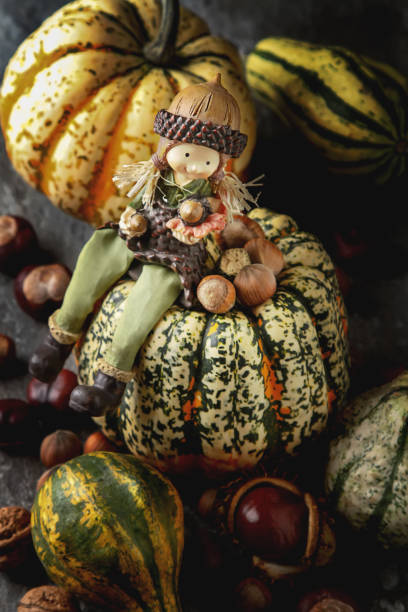 decorare per halloween. piccola la maggior parte della zucca con castagne e noci su uno sfondo di legno scuro. testo spazio libero. - 6639 foto e immagini stock