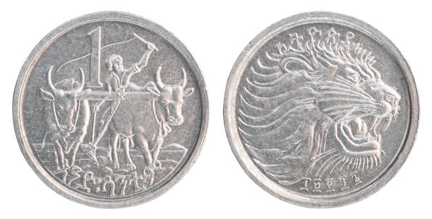 istock Ethiopian cents coin 848731624