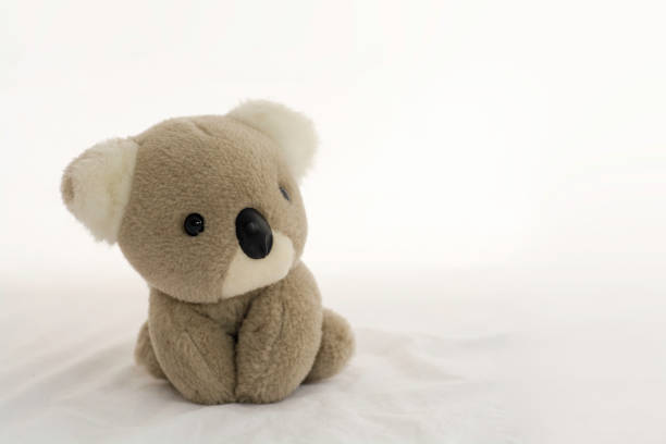 bambola orso koala seduta su sfondo bianco. - stuffed animal toy koala australia foto e immagini stock