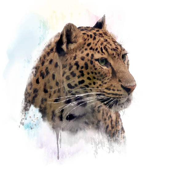istock Leopard Portrait watercolor 848735864