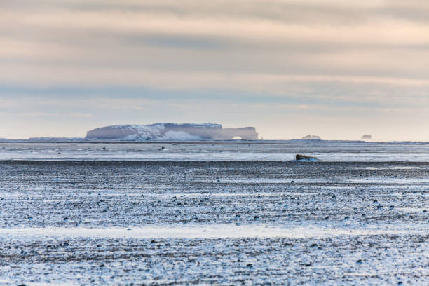 istock Solheimasandur the plane wreck view during winter snow 848741734