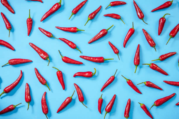 istock Hot red peppers randomly on blue background,flat lay design 848741858