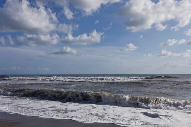 istock Panoramic view of the Versilia shoreline 848749074
