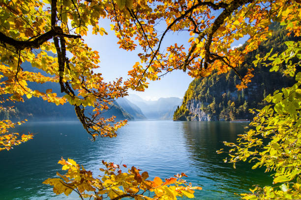 istock Idyllic lake Koenigsee, Berchtesgaden, Bavaria, Germany 848755120
