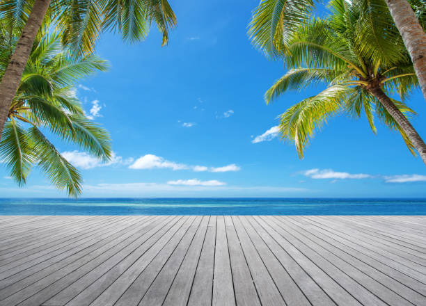 istock Wooden platform under palm trees beside tropical sea 848759468