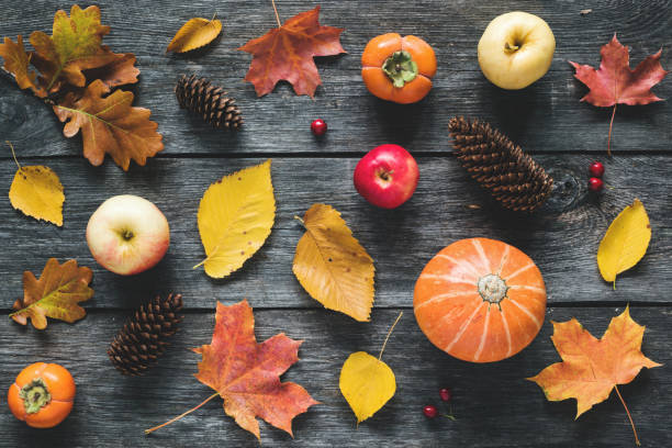 istock Autumn fallen leaves, pumpkins, apples and cones pattern flat lay 848762474