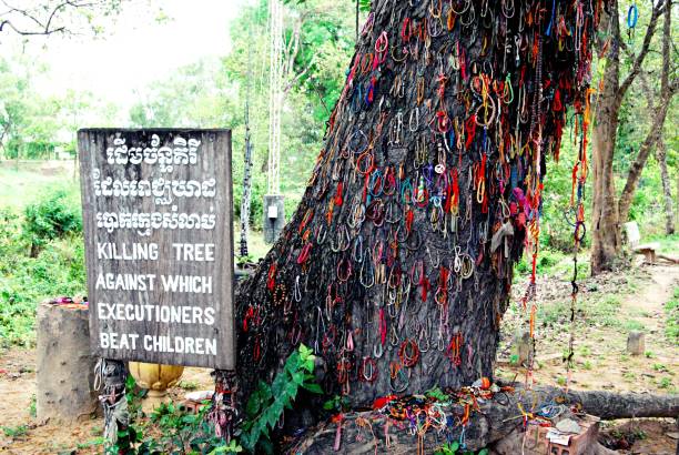 töten tree - völkermord in kambodscha stock-fotos und bilder