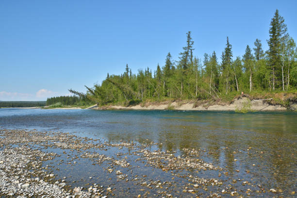istock The River of the Polar Urals. 848786554