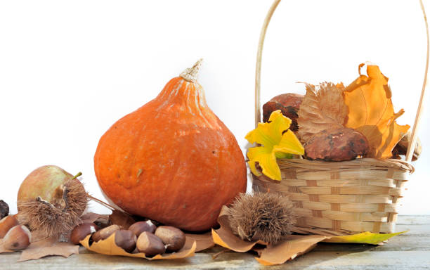 istock autumnal vegetables and fruits 848793422