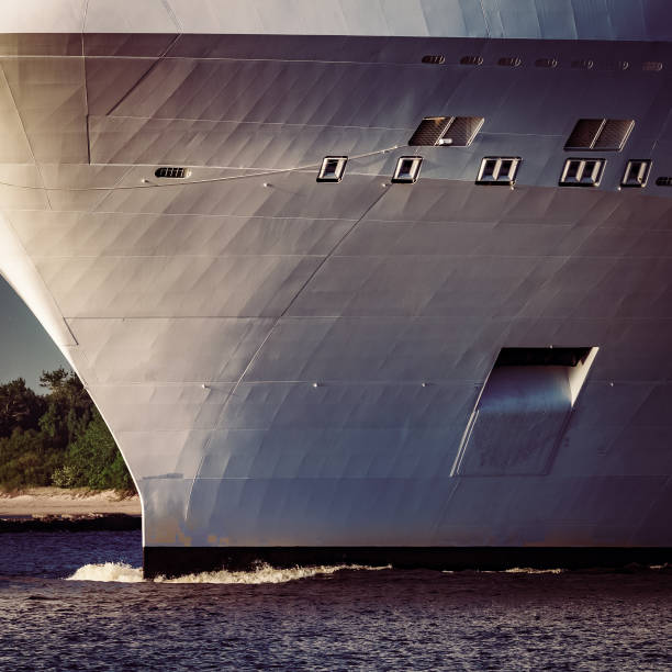 istock Giant brand new cruise liner 848795738