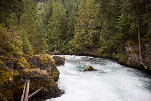 istock Woman doing yoga by the river 848801012
