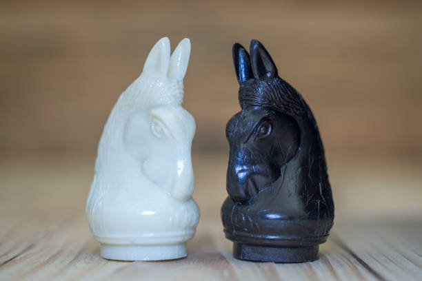 istock The knight black and white chess piece on wooden 848803318