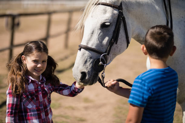 istock Siblings standing with white horse in the ranch 848804080